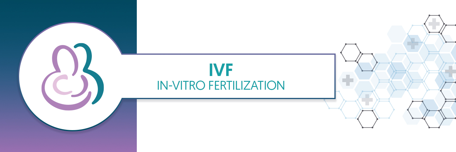 IVF (In Vitro Fertilization)